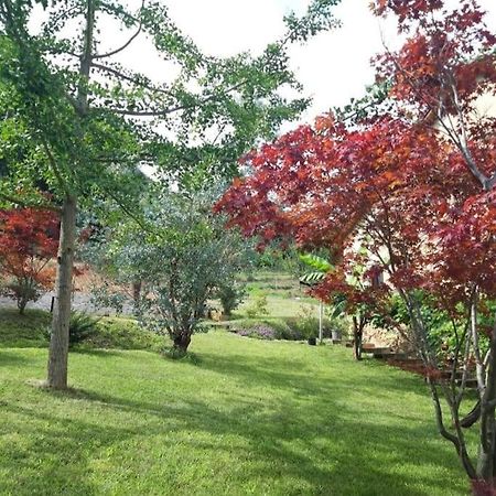 Istanti - Menta Apartment Costigliole Saluzzo Ngoại thất bức ảnh