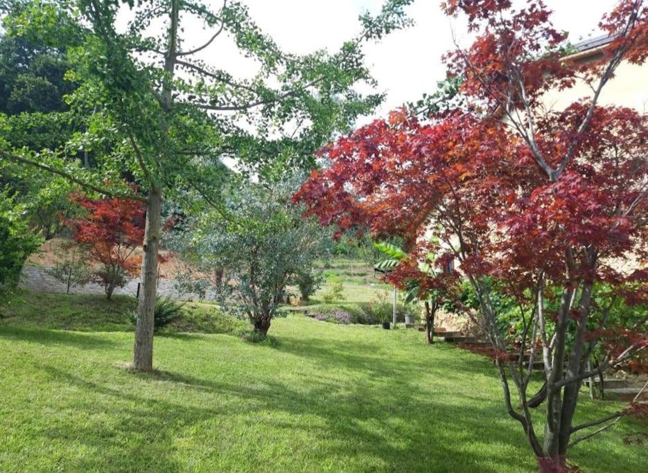 Istanti - Menta Apartment Costigliole Saluzzo Ngoại thất bức ảnh